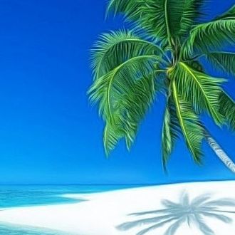 Ocean, Island, and Palm.