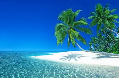 Ocean, Island, and Palm.: Ocean, Island, and Palm.