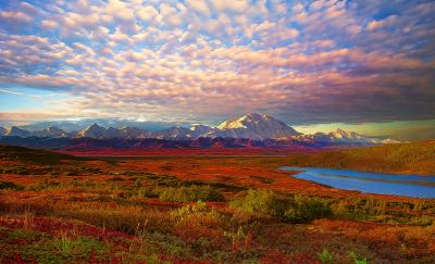 Photos of the day: Denali National Park #flowers #nature #lake #mount